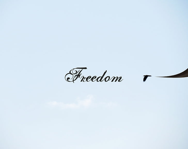 Liberté, noir liberté texte illustration, amour, Fond d'écran HD