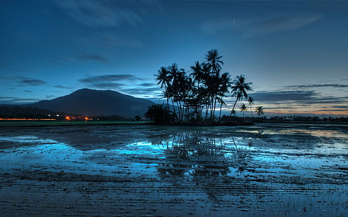 Malesia, tramonto, palme, mondo, posti meravigliosi, Sfondo HD HD wallpaper