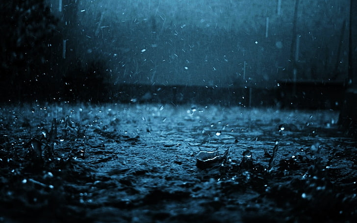 beberapa tetesan hujan, close-up, drop, hitam, biru, hujan, Wallpaper HD