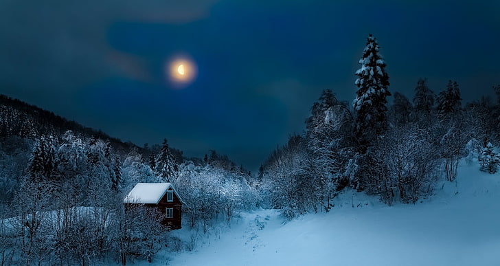 cabaña, bosque, colinas, niebla, naturaleza, luna, invierno, paisaje, nieve, noche, Fondo de pantalla HD