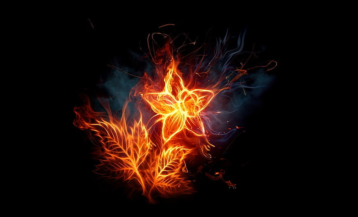 flaming flower digital wallpaper, flower, dark, fire, HD wallpaper
