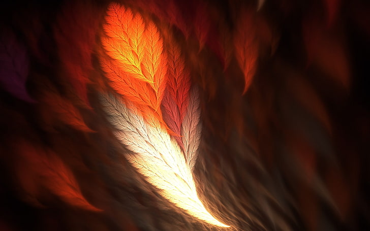abstract, feathers, fractal, HD wallpaper
