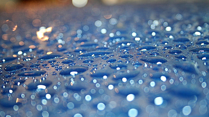rugiada dell'acqua, fotografia selettiva di goccia d'acqua, gocce d'acqua, macro, bokeh, Sfondo HD