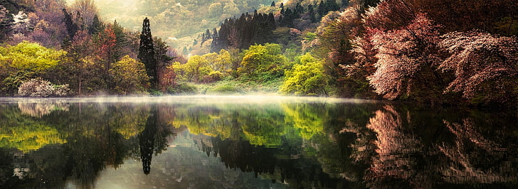 pohon-pohon tinggi bercermin pada tubuh air yang tenang dalam fotografi lanskap, alam, lanskap, musim semi, danau, pagi, hutan, kabut, pohon, air, refleksi, pegunungan, Korea Selatan, Wallpaper HD