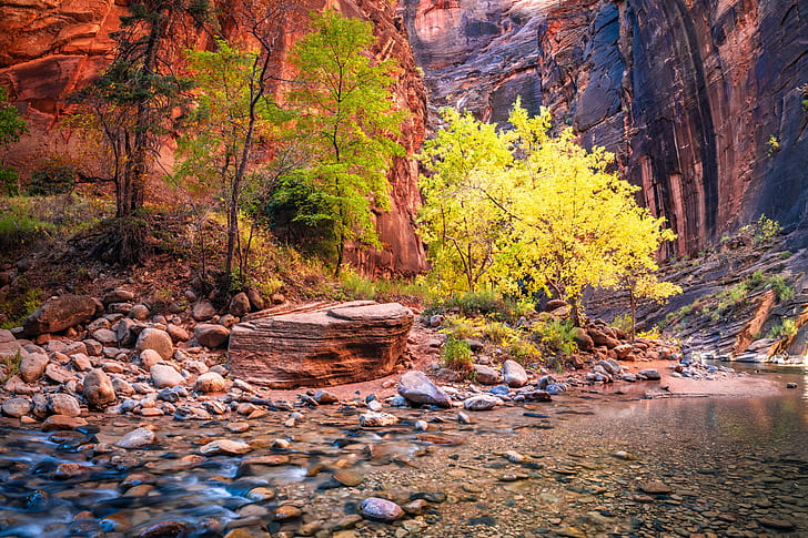 Utah, AS, Taman Nasional Zion, Wallpaper HD