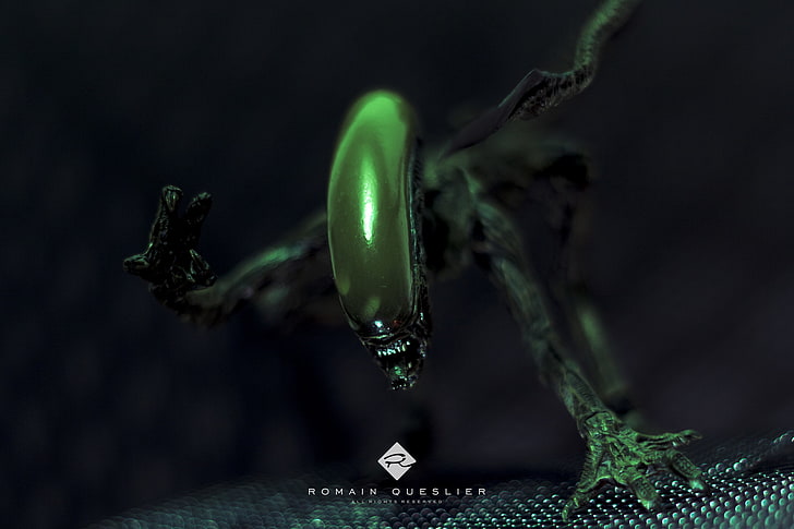 Aliens, Xenomorph, 500px, HD-Hintergrundbild