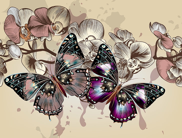 two multicolored butterflies illustration, color, butterfly, flowers, background, wings, vector, HD wallpaper