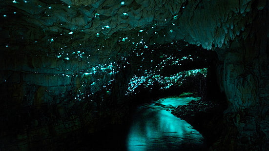  cave, water, night, Waitomo Glowworm Caves, New Zealand, HD wallpaper HD wallpaper