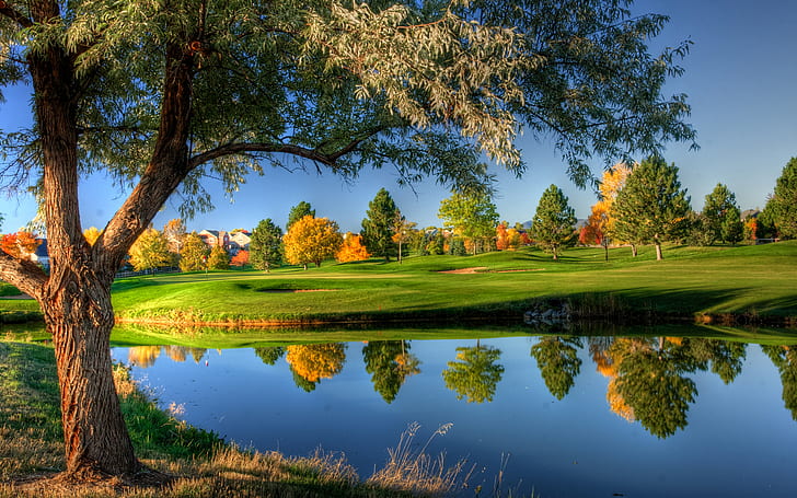 Golf, Golf Course, Lake, Reflection, Tree, HD wallpaper