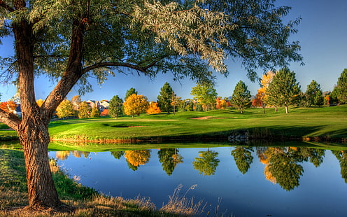반사, 나무, 호수, 골프, 골프 코스, HD 배경 화면 HD wallpaper
