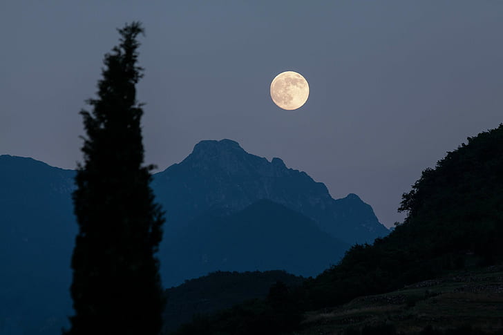 almost night, cypress, evening, full moon, moon, moonrise, mountains, night, romantic, twilight, HD wallpaper
