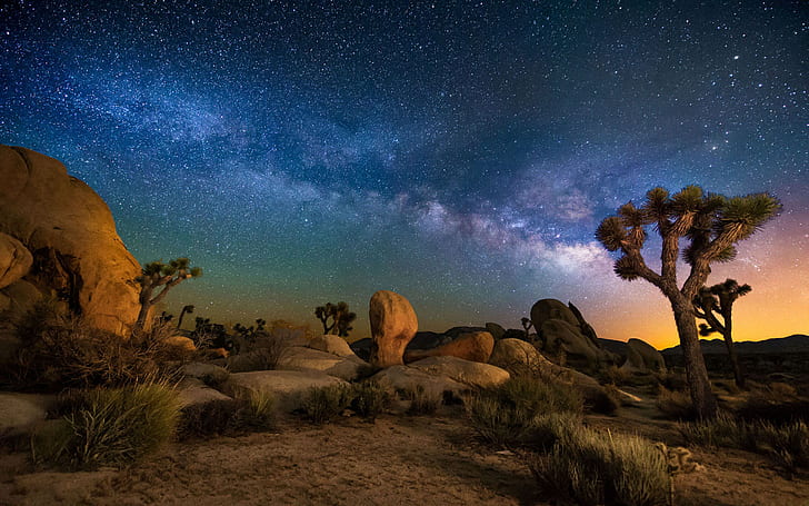 Starry Sky Desert Area Night In Joshua Tree National Park California Usa Hd Wallpaper For Desktop 1920×1200, HD wallpaper