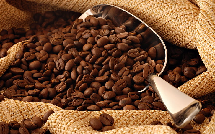 granos de café con cuchara de metal gris, café, granos de café, marrón, textura, Fondo de pantalla HD