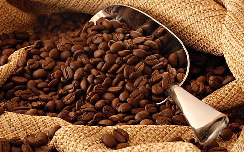 grãos de café com colher de metal cinza, café, grãos de café, marrom, textura, HD papel de parede HD wallpaper