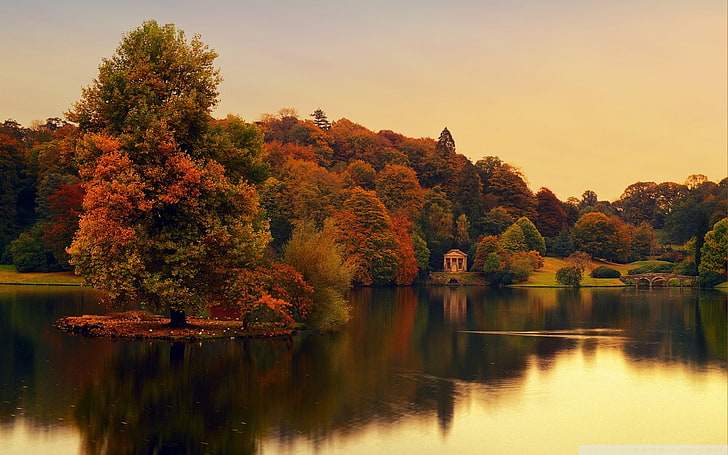 red and green trees, England, nature, landscape, trees, water, river, house, bridge, sunset, HD wallpaper