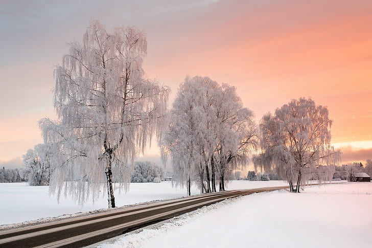 sunlight, sky, winter, road, trees, nature, landscape, snow, HD wallpaper