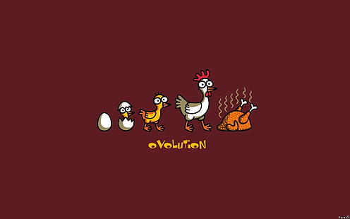 эволюция куриной иллюстрации, эволюция, юмор, минимализм, цыплята, HD обои HD wallpaper