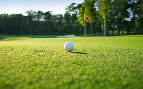 Primo piano della bandiera rossa del campo da golf dell'erba verde, Sfondo HD HD wallpaper
