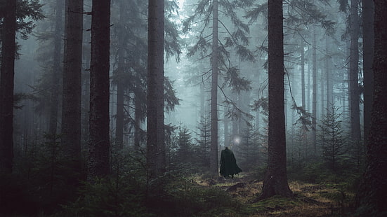 Anime, Berserker, Wald, Eingeweide (Berserker), Baum, HD-Hintergrundbild HD wallpaper