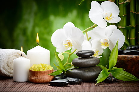 bilanciamento di roccia nera, fiore, pietre, candele, bambù, nero, orchidea, fiori, spa, massaggio, Sfondo HD HD wallpaper