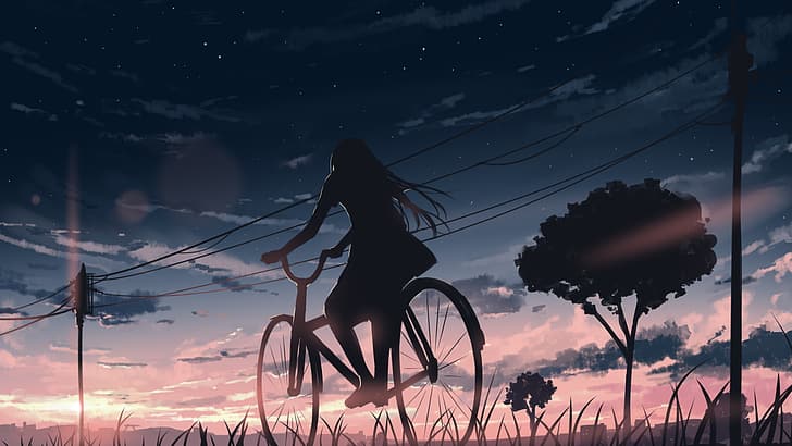 anime girls, cyclist, bicycle, sunset, sky, power lines, trees, clouds, Arttssam, HD wallpaper