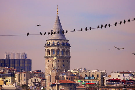 Istanbul Turkey, Galata Tower,, flock of birds, city, Birds, architecture, Galata Tower, istanbul Turkey, HD wallpaper HD wallpaper