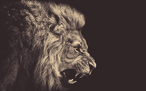 иллюстрация льва, минимализм, лев, животные, сепия, желтые глаза, злость, бежевый, HD обои HD wallpaper