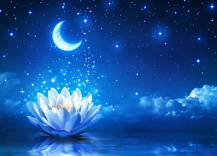 beyaz lotus çiçeği, ay, gökyüzü, gece, lotus çiçekleri, yıldız, HD masaüstü duvar kağıdı HD wallpaper