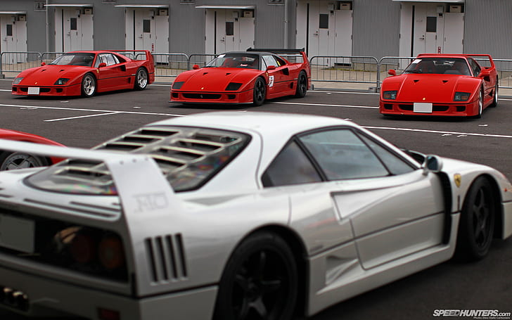 Ferrari F40 HD, серое спортивное купе, автомобили, Ferrari, F40, HD обои