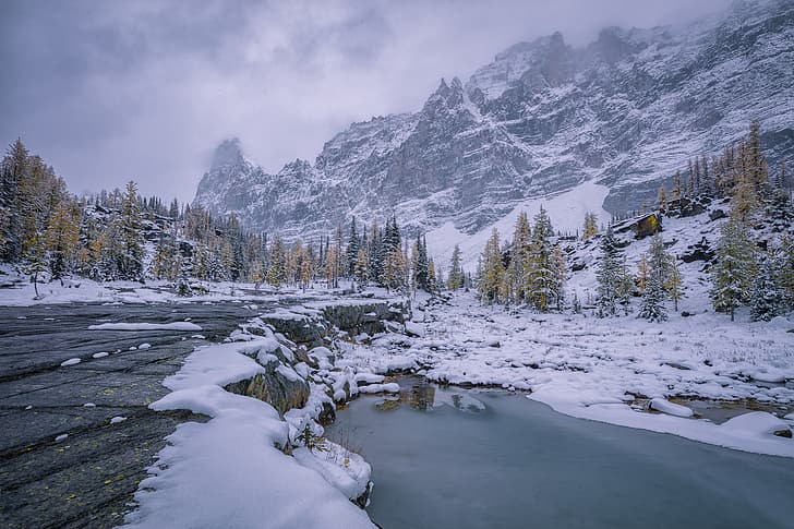 invierno, agua, nieve, árboles, montañas, Canadá, Columbia Británica, Parque Nacional Yoho, Montañas Rocosas, Fondo de pantalla HD