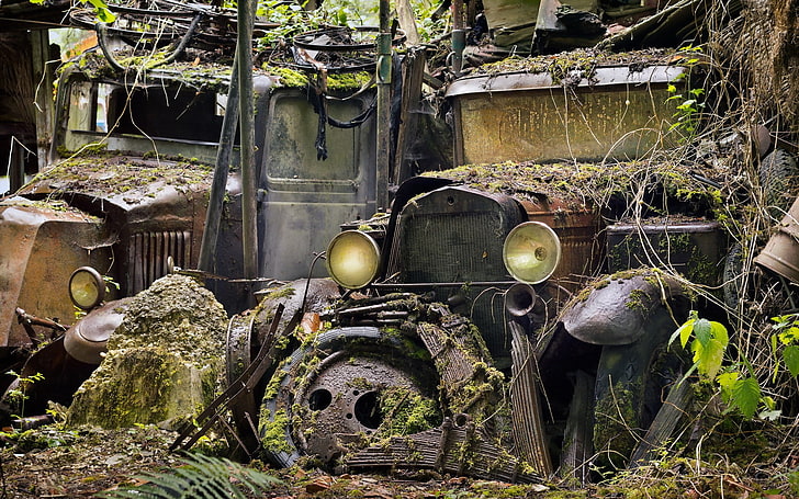 vehicle, wreck, rust, HD wallpaper