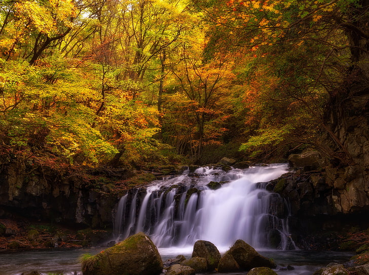 Autumn Japan, waterfalls and trees, Seasons, Autumn, Waterfall, Water, Flow, Stream, Japan, Waterfalls, nagano, ootaki, HD wallpaper