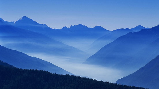 Brouillard de paysage de forêt de montagne de nature Ultrahd 4k bureau libre, montagnes, bureau, forêt, paysage, montagne, nature, ultrahd, Fond d'écran HD HD wallpaper