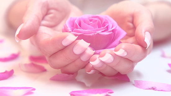 manos-uñas-dedos-manicura-rosa-pétalos-rosa, Fondo de pantalla HD HD wallpaper