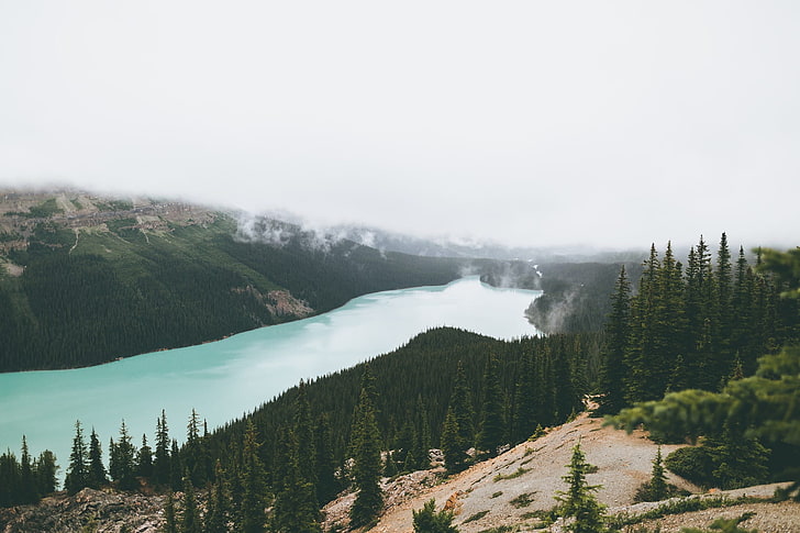 บ้านสีขาวและดำใกล้กับภาพวาดสีน้ำธรรมชาติทิวทัศน์แม่น้ำต้นไม้หมอกภูเขาแคนาดา, วอลล์เปเปอร์ HD