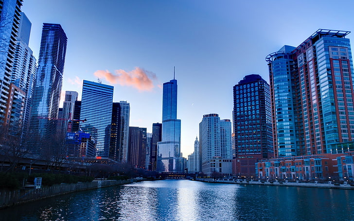синьо-бяла бетонна сграда, градски пейзаж, Чикаго, небостъргач, HD тапет