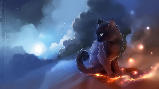 черная кошка иллюстрация, черная кошка анимированные обои, произведение искусства, аниме, кошка, светящиеся, облака, Apofiss, фэнтези арт, голубой, оранжевый, HD обои HD wallpaper