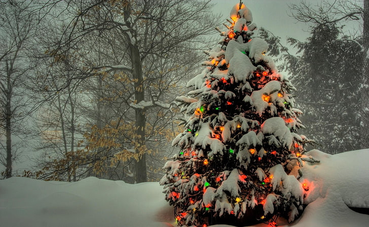 зеленая ёлка, елка, гирлянда, новый год, рождество, ёлки, снег, зима, праздник, HD обои