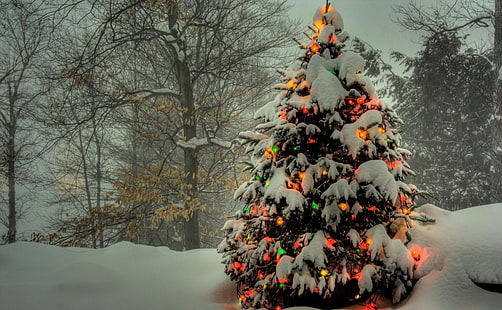 green Christmas tree, tree, garland, new year, christmas, trees, snow, winter, holiday, HD wallpaper HD wallpaper