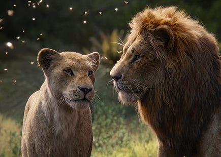 Film, Le Roi Lion (2019), Nala (Le Roi Lion), Simba, Fond d'écran HD HD wallpaper