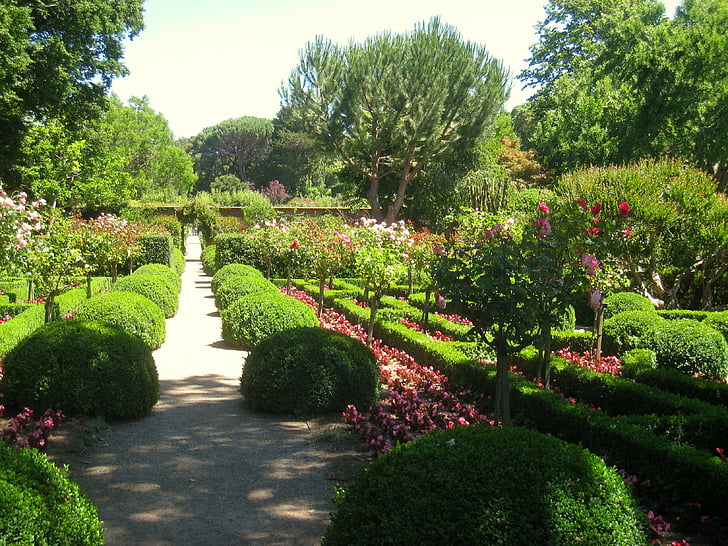 1 JPG, Garten, Landschaft, Park, HD-Hintergrundbild