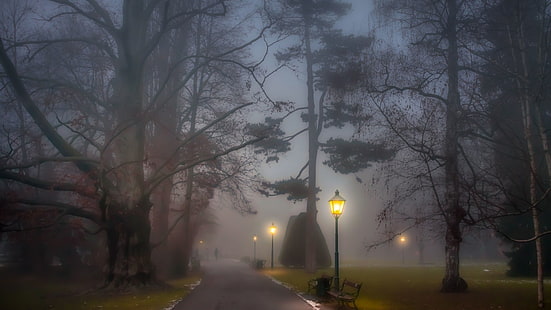 natur, bäume, park, nebel, straßenlaterne, weg, sitzbank, HD-Hintergrundbild HD wallpaper