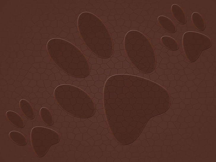 Paw print HD wallpapers free download