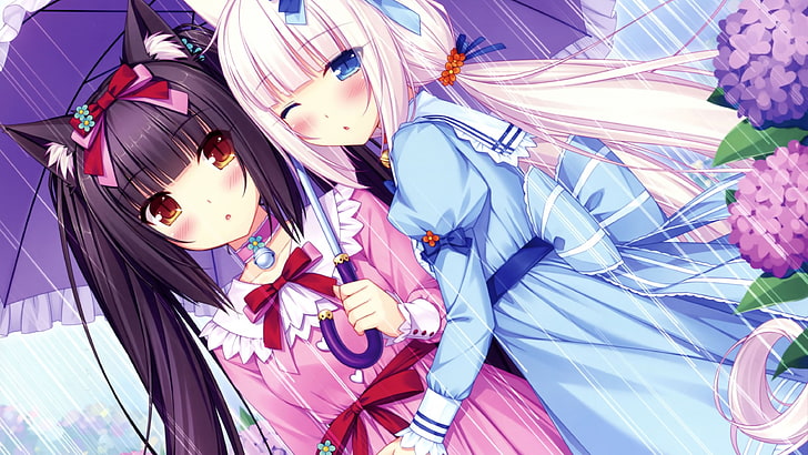 zwei Frauen mit grauen und weißen Haaren Anime Charakter, Neko Para, Nekomimi, Chocolat (Neko Para), Vanille (Neko Para), HD-Hintergrundbild