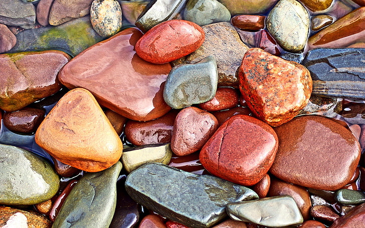 assorted-color stones painting, stones, wet, form, shine, HD wallpaper