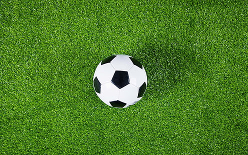Closeup de futebol de campo de futebol de grama verde, HD papel de parede HD wallpaper