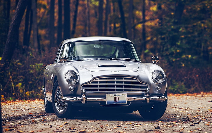 gümüş Aston Martin araba, gümüş Aston Martin DB5, araba, Aston Martin, Aston Martin DB5, sonbahar, yol, orman, 007, James Bond, yapraklar, HD masaüstü duvar kağıdı
