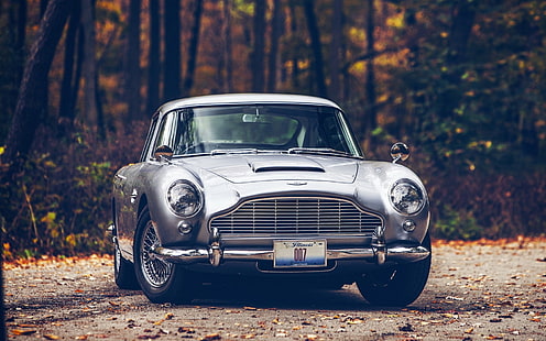 gümüş Aston Martin araba, gümüş Aston Martin DB5, araba, Aston Martin, Aston Martin DB5, sonbahar, yol, orman, 007, James Bond, yapraklar, HD masaüstü duvar kağıdı HD wallpaper