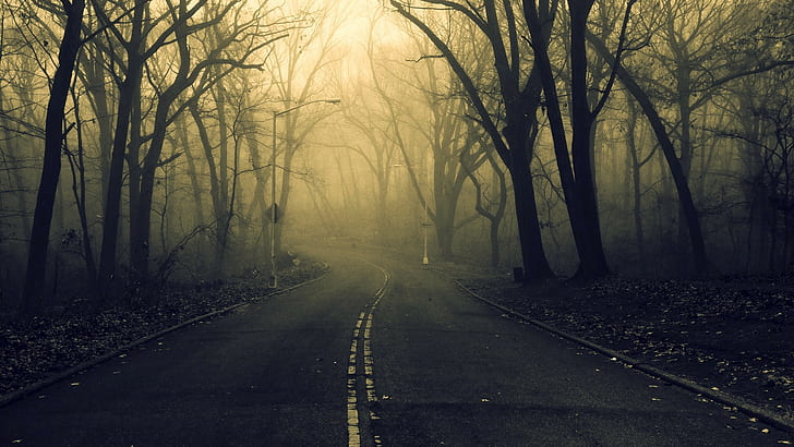 น่ากลัวถนนป่า, วอลล์เปเปอร์ HD