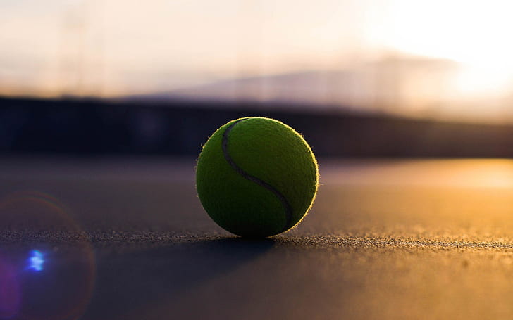 Bola de tênis, quadra, pôr do sol, bola, verde, HD papel de parede